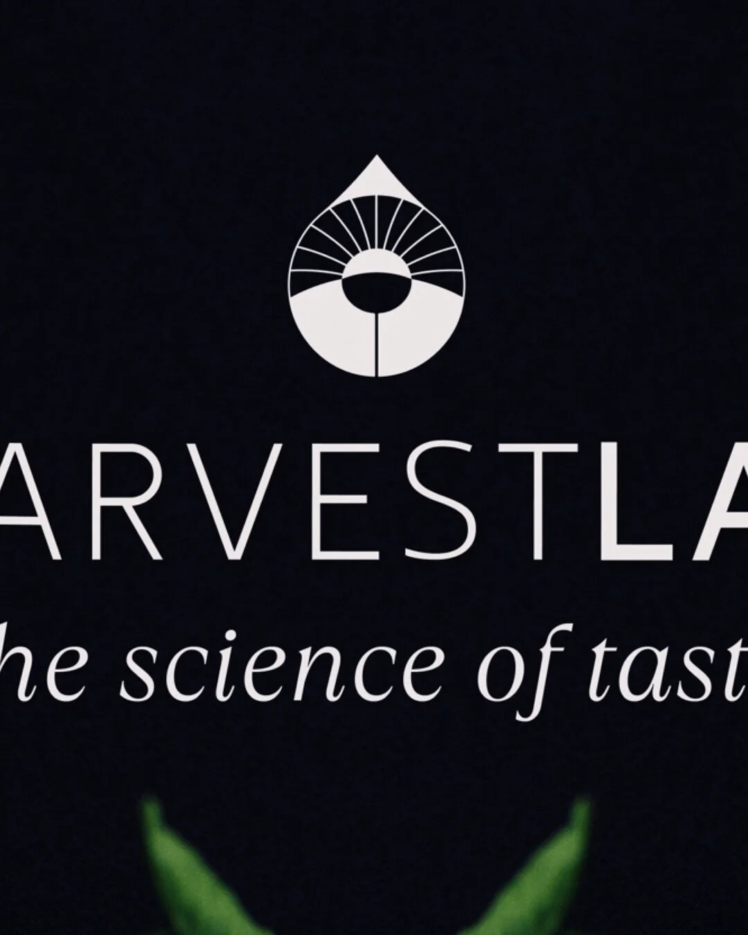(2/3) Taste and Science are not two words we often see together. Yet they have a long term hidden relationship. For that is what taste is: a reaction of our brain to substances being placed on our tongue&rsquo;s taste receptors. ⁣&bull;
We do an anal