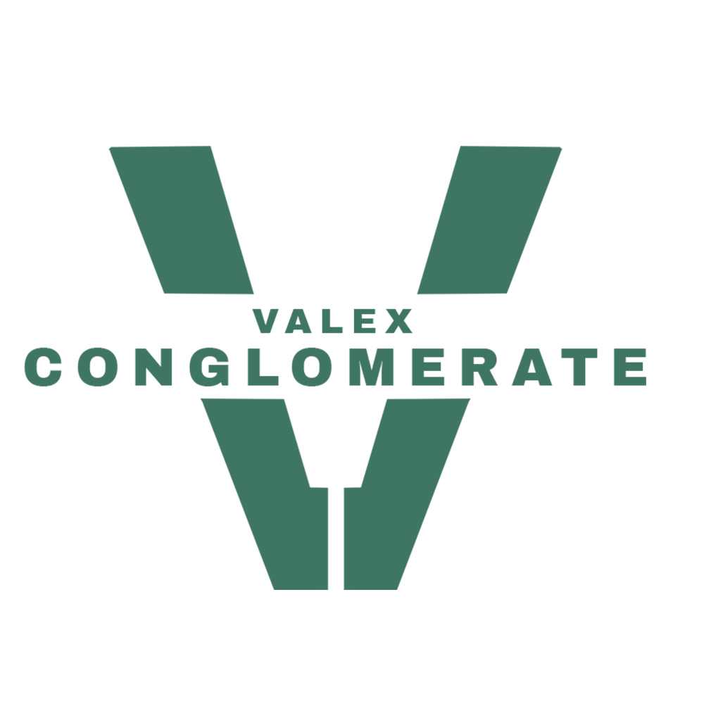 Valex Logo.png