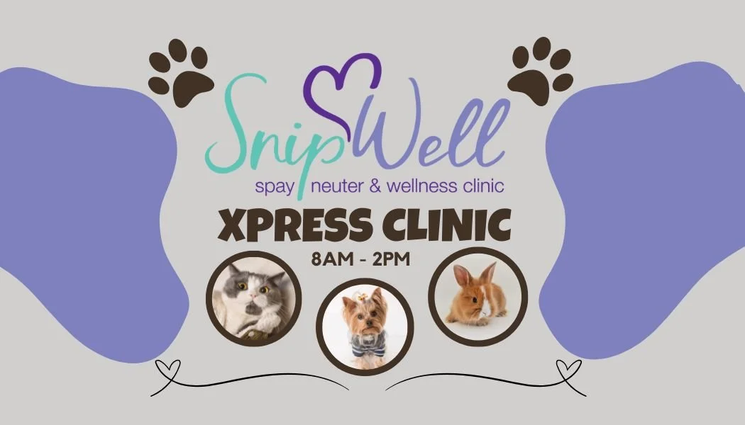 August Xpress Clinic