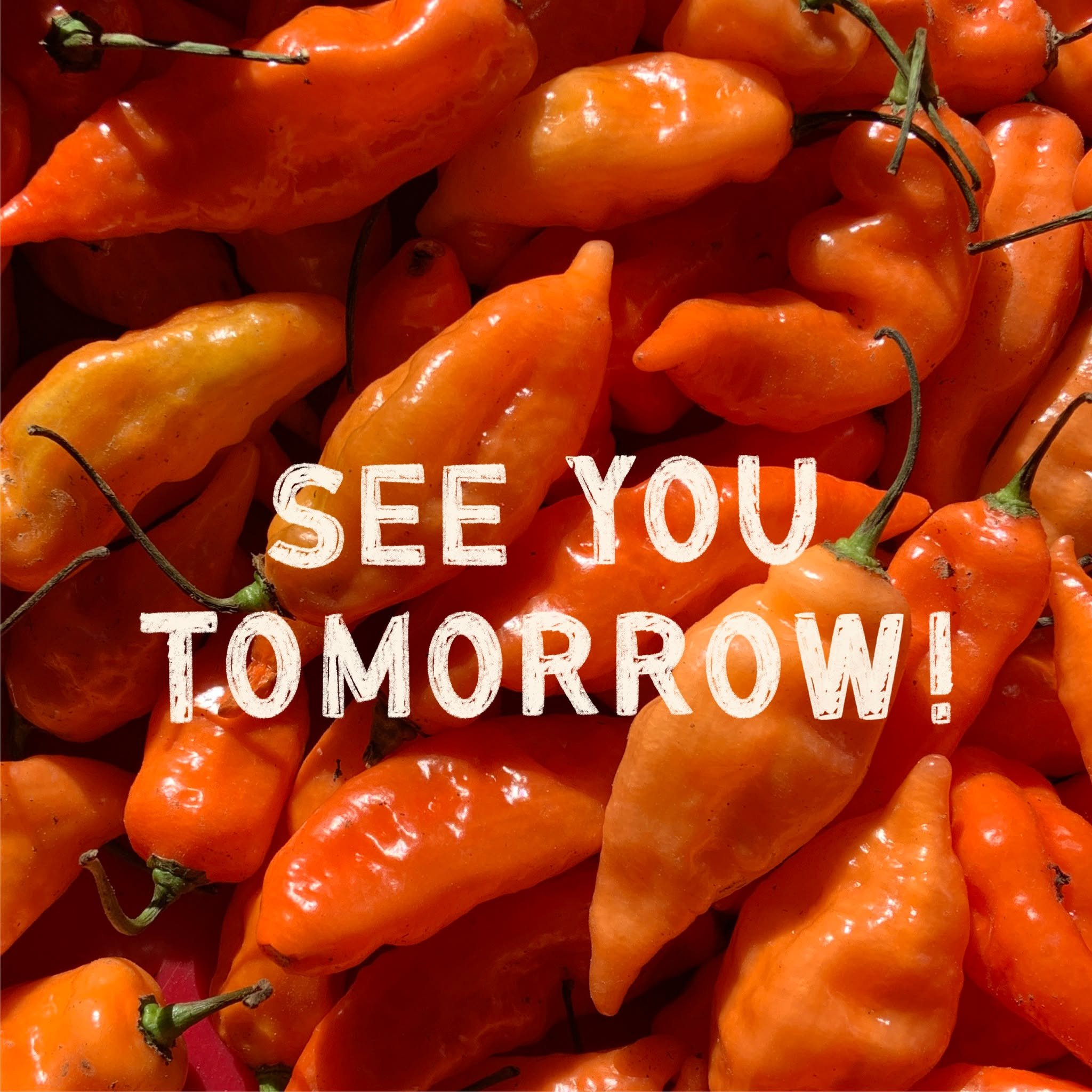 TOMORROW IS OPENING DAY! Tell your friends, your neighbors, and everyone you know 📣✨ We'll see you 9am-1pm in the Town Pavilion!