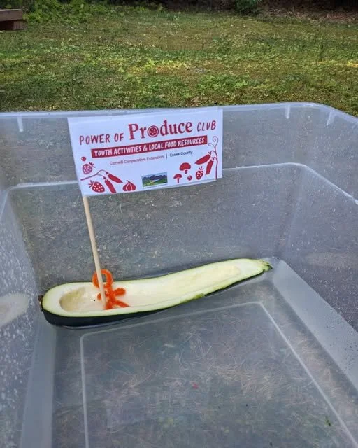 How lucky are we to have such a wonderful partnership with the Cornell Cooperative Extension of Essex County! They are seeking feedback on the Power of Produce Club. If you participated while at the Schroon Lake Farmers Market this season, please con