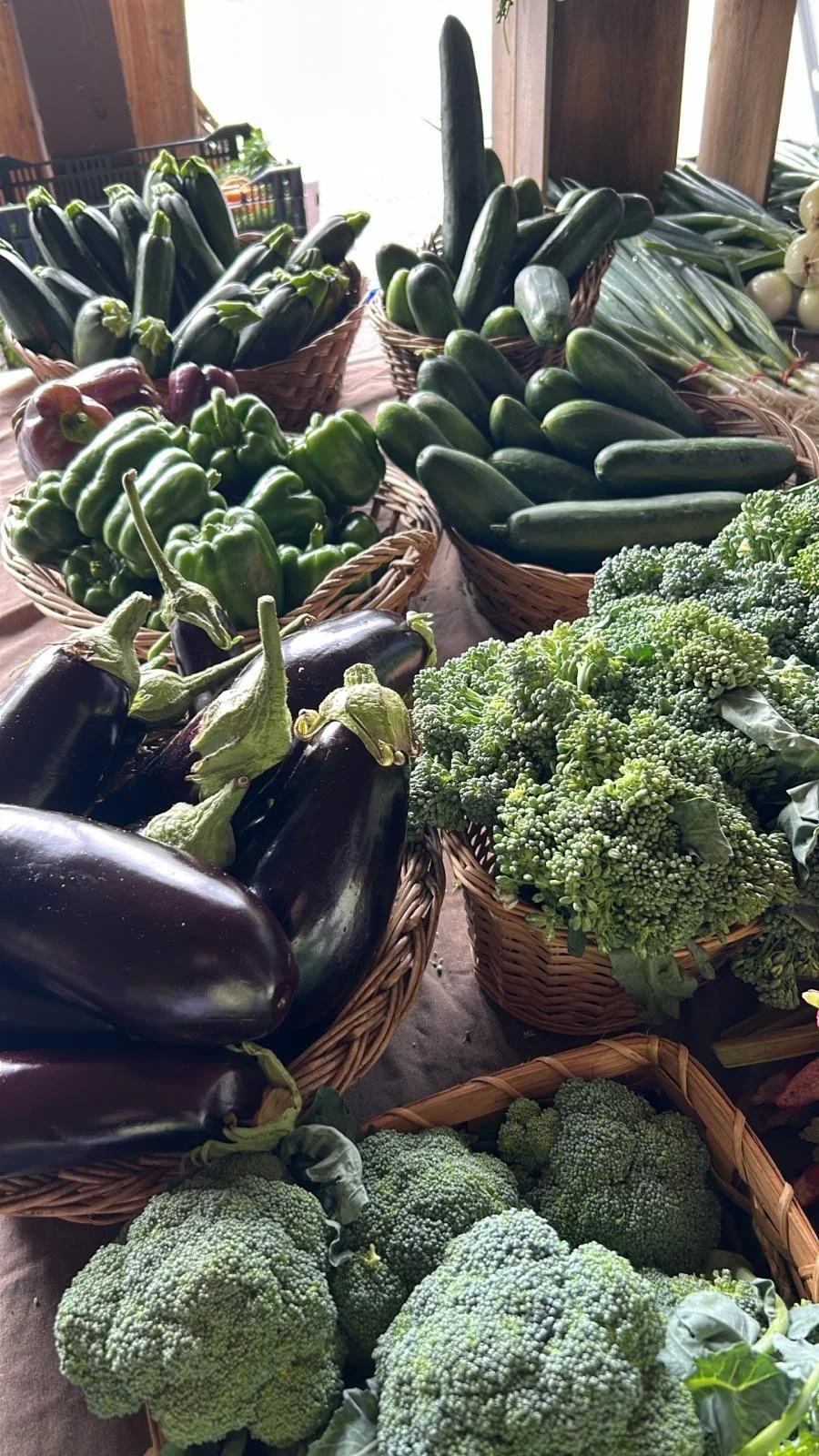 We have a special guest coming to the Market this weekend 🐢✨
Come shop local and stop by the community table to meet a very special 🐢 and learn about our local ecosystem.