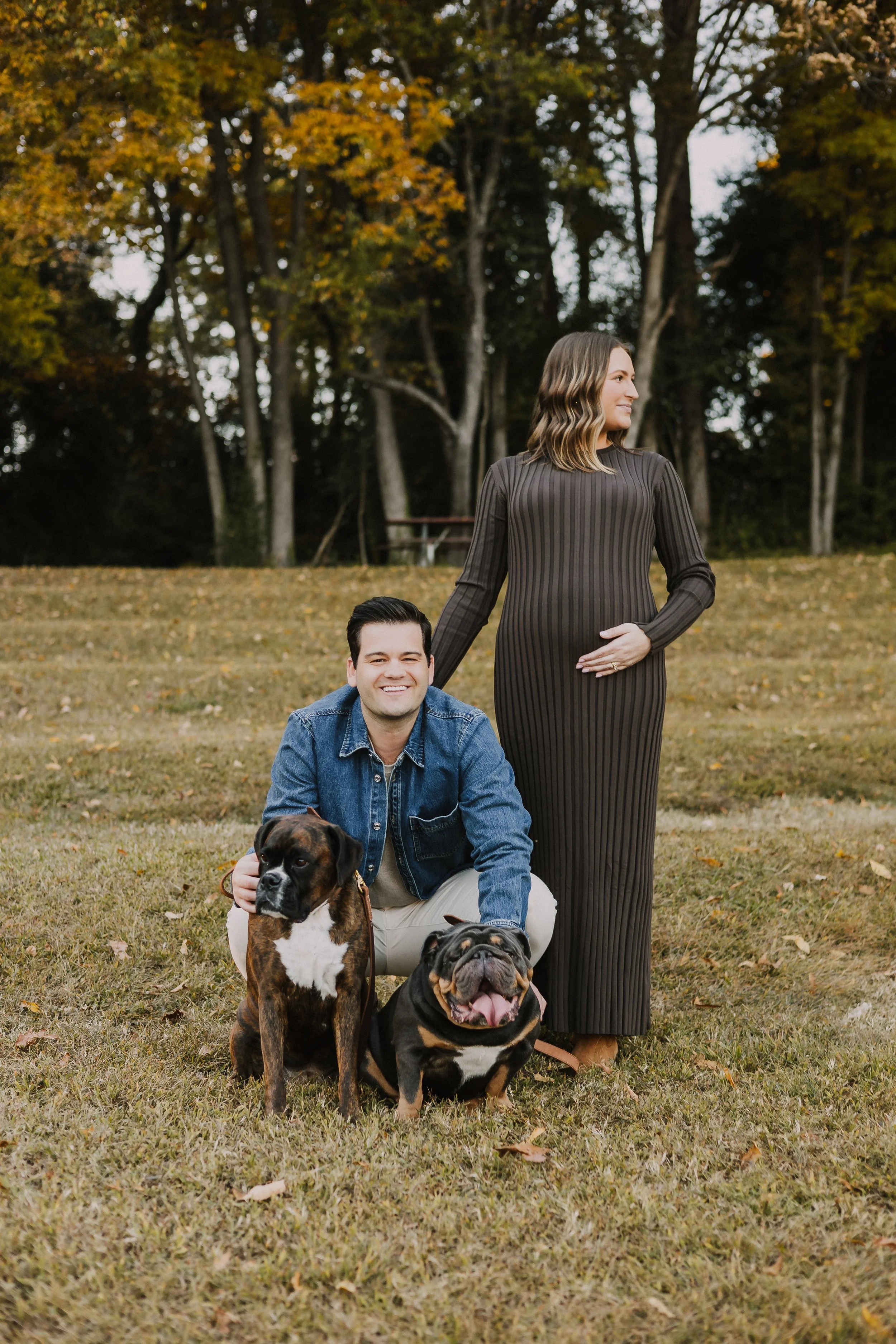 A pregnant woman in a long gray striped dress standing outdoors with her hand on her belly, and a man crouching beside her with two dogs, a boxer and a bulldog, in front of them, in a park during fall.