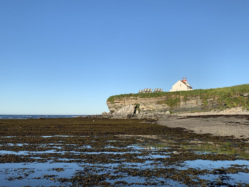 Île aux Perroquets - Archipel de Mingan
