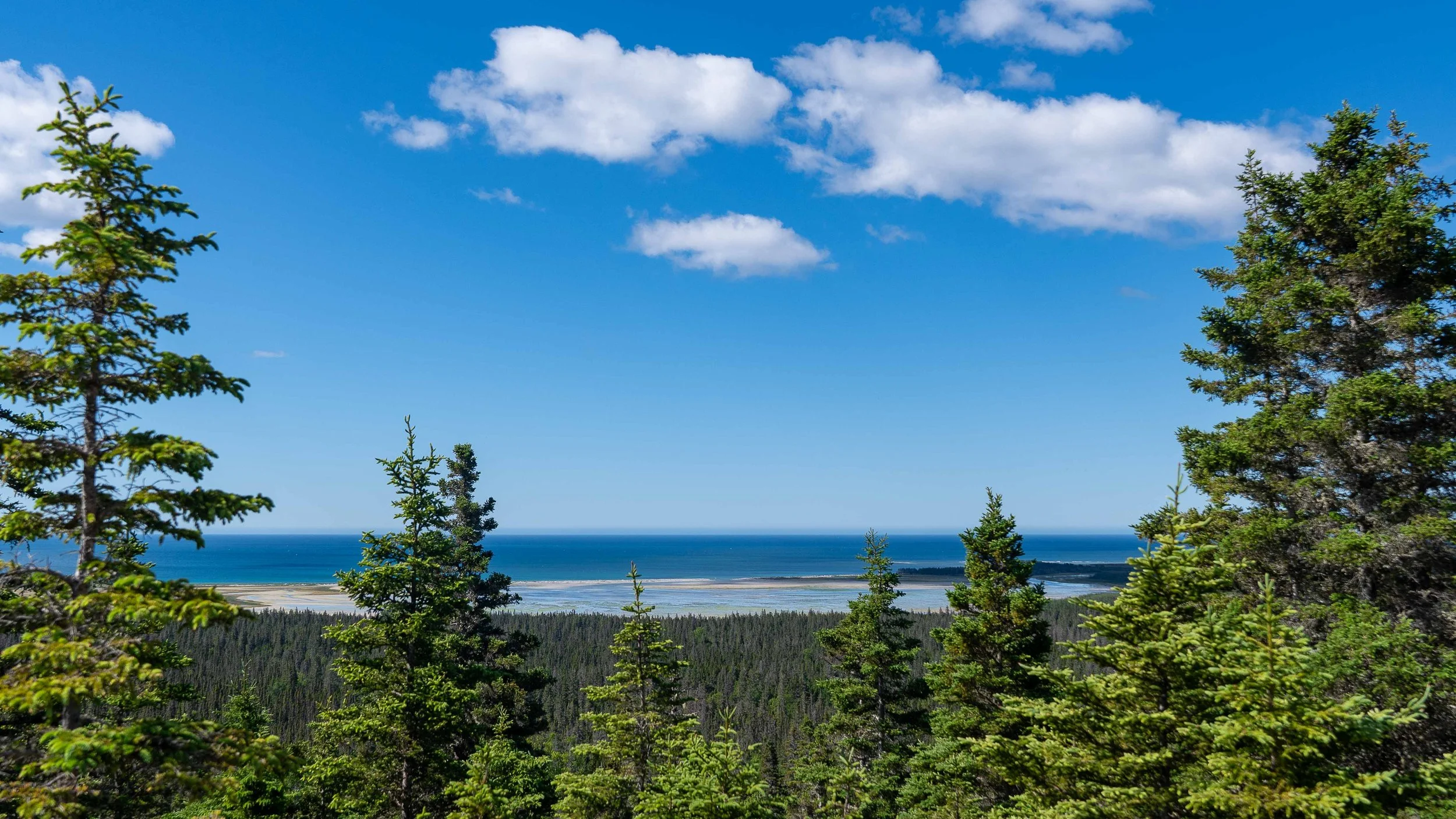 Réserve écologique du Grand-Lac-Salée
