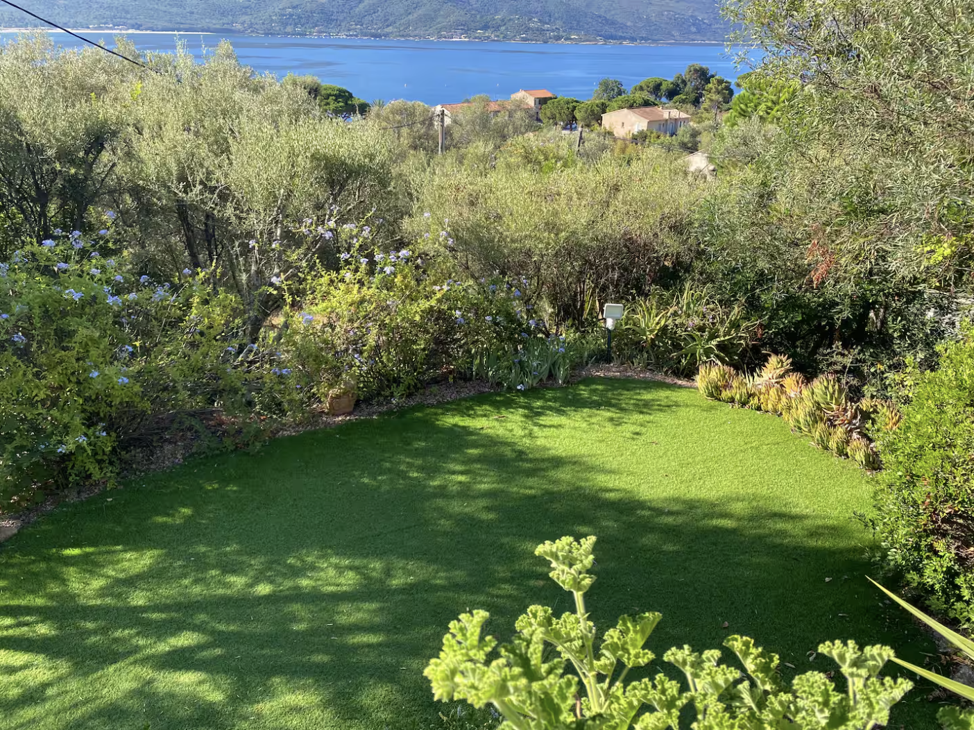 Capture d’écran 2026-01-08 à 17.51.47.png