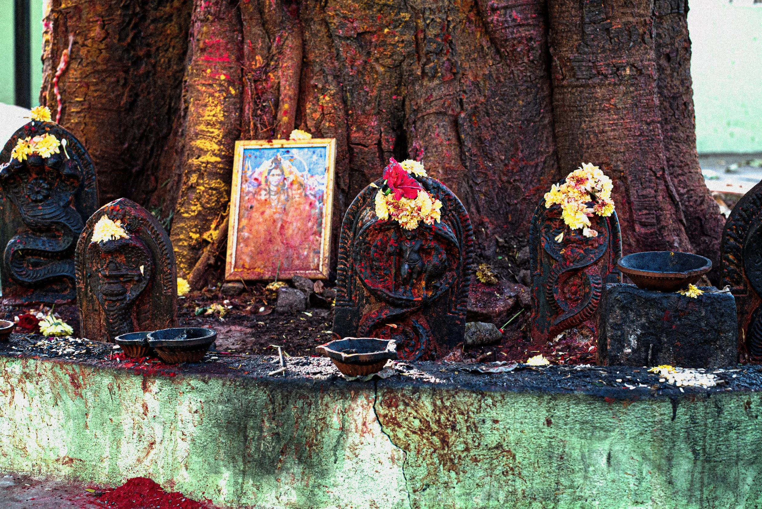 Still from the Mysore Yoga Traditions documentary film