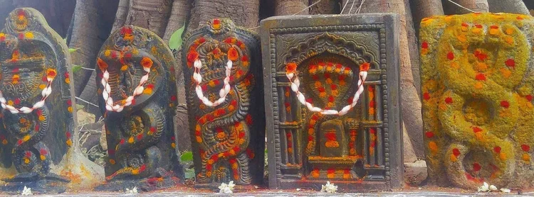 The Yoga Trilogy — Mysore Yoga Traditions