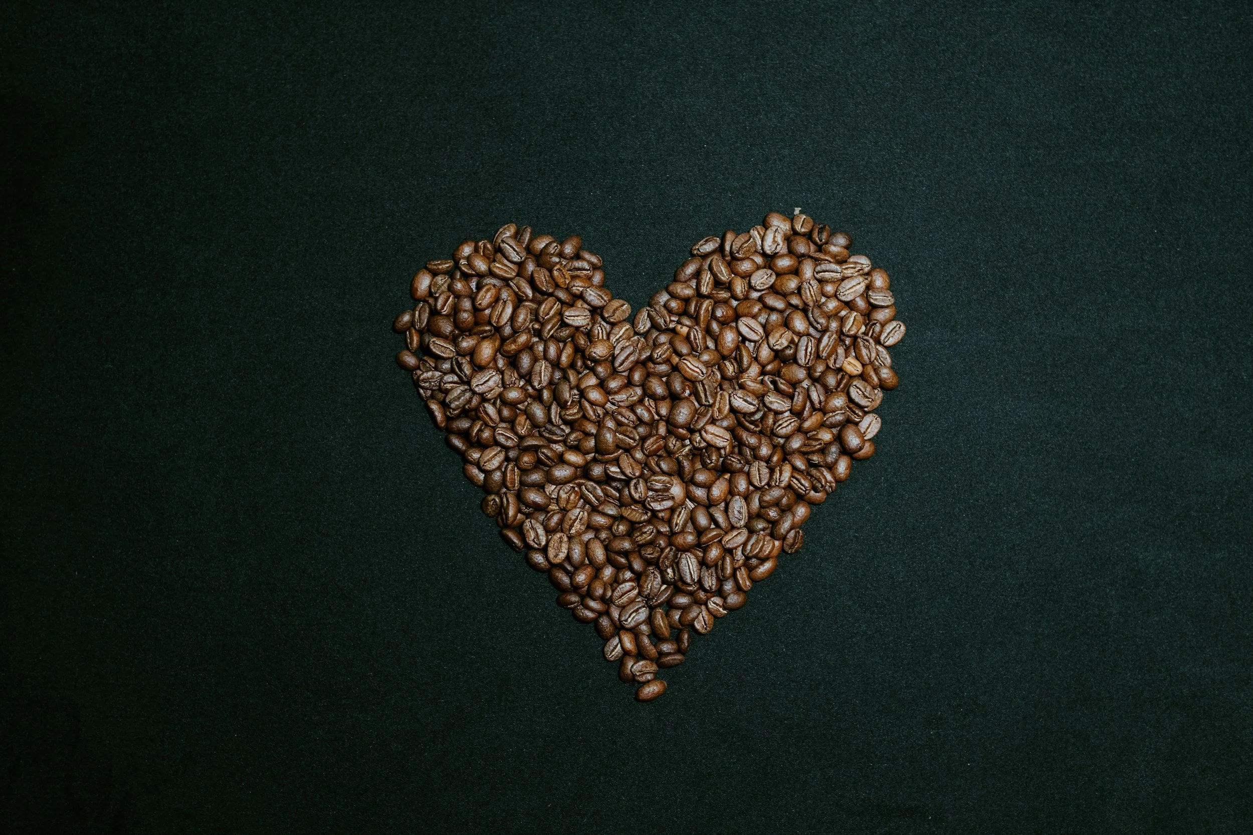 The Seed of Love