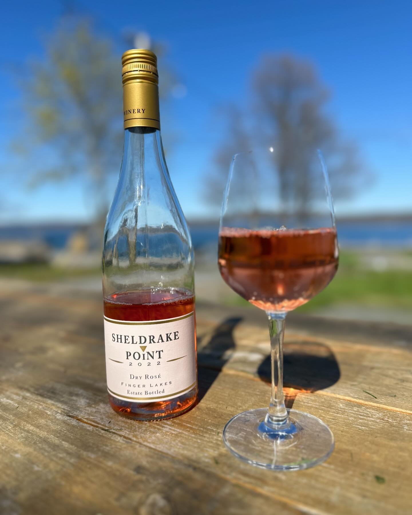 Ros&eacute; all day starts now&hellip; We are open till 9! The sun is shining, @sheldrakepoint is in our glass, and life is better at the lake. See you soon!