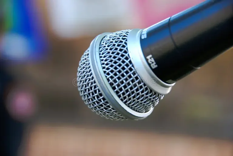 Karaoke Night!