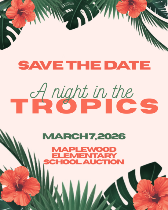 Maplewood Elementary School Auction