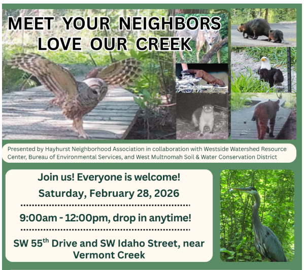Meet Your Neighbors, Love Our Creek&nbsp;