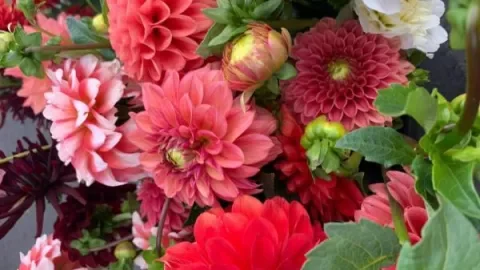 Community Flower Show