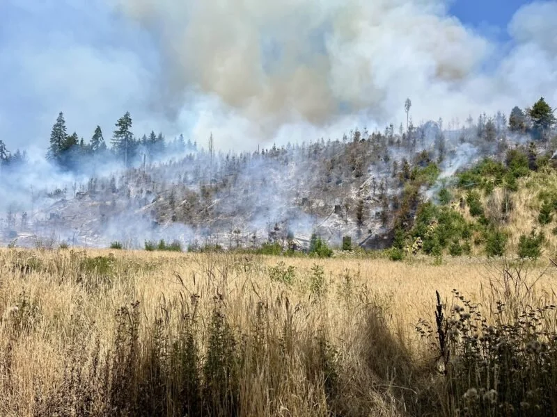 Tryon Creek Wildfire-Ready Workshop