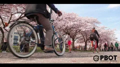 All-Season Cycling