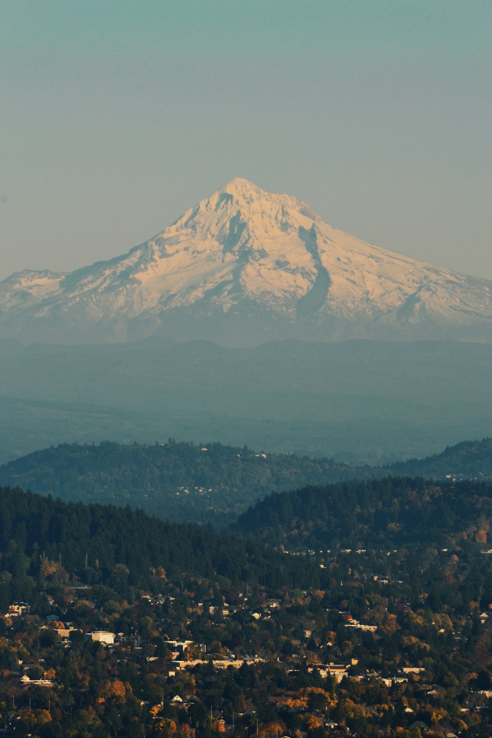 Help Shape the Future of Multnomah County