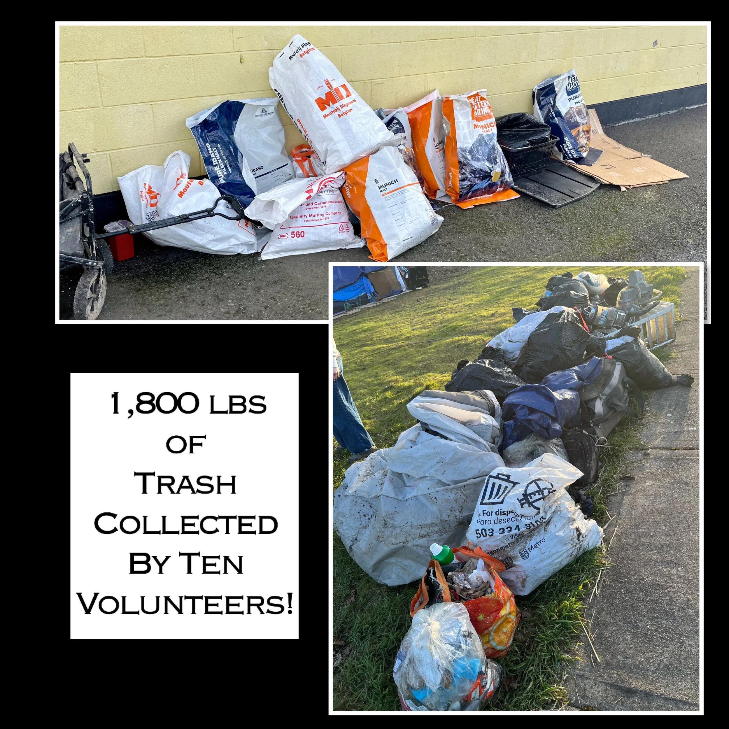 large sacks of garbage from cleanup event