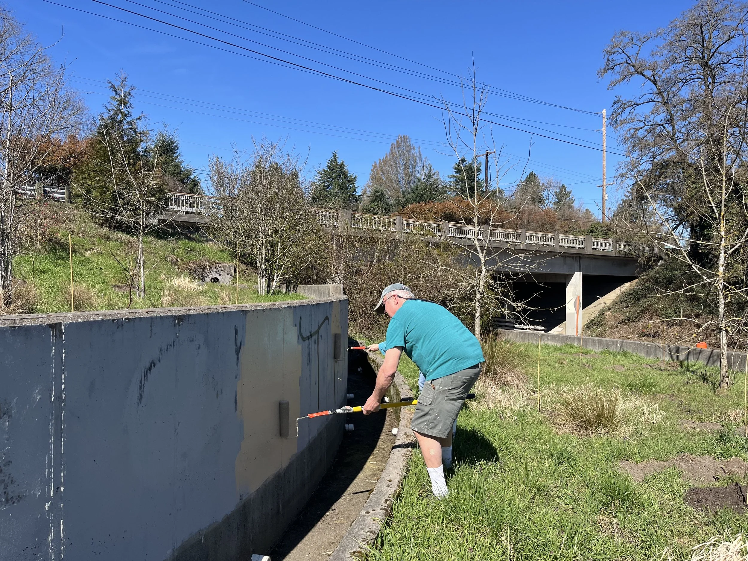 volunteer painting over graffiti