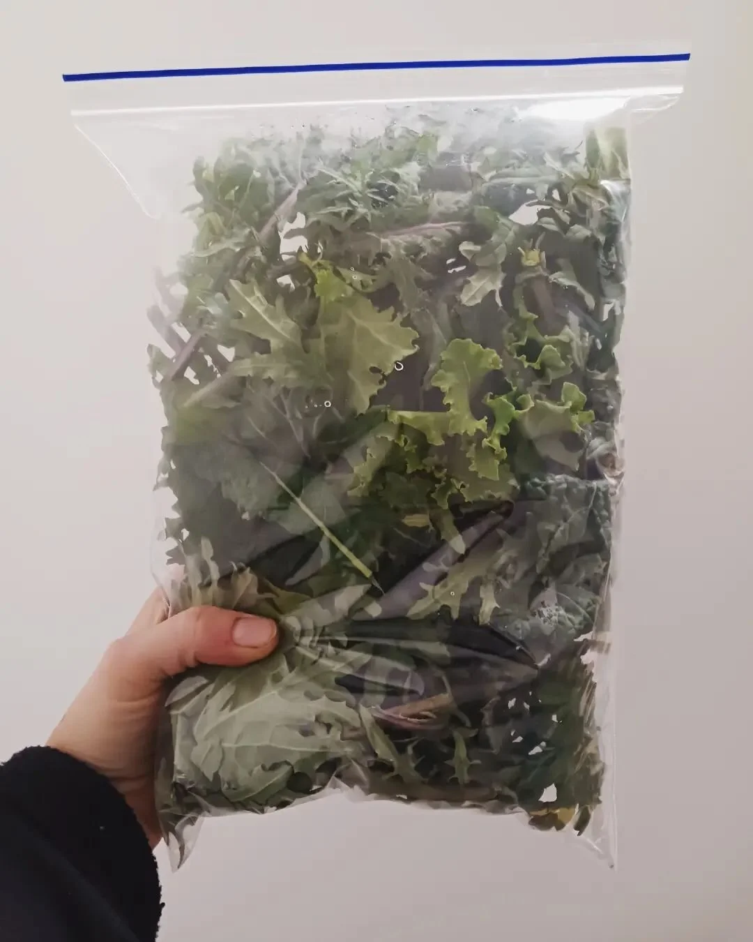 Get your greens! Today at the @hfxbrewerymarket  8 am - 1 pm.