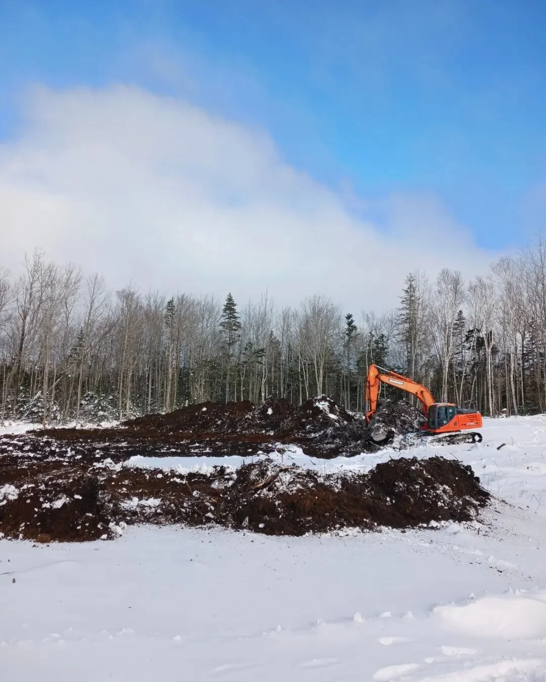 We are feeling good about the sunshine today! 

Digging a pond, weeding tunnels and caring for microgreens. 

February is a slow climb out of hibernation and back into a familiar work mode. 

Hope you get to enjoy some sun today! 

#farminginthemarit