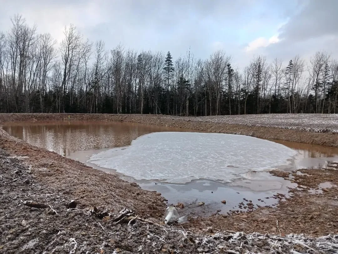 Pond update! Look at er' go 🚣&zwj;♀️🏄&zwj;♀️🌊 

We have been dreaming of making this space for a long time. And it is amazing to see it coming together. A gathering space for all living things. 
Diversifying the landscape and calming our nerves ab