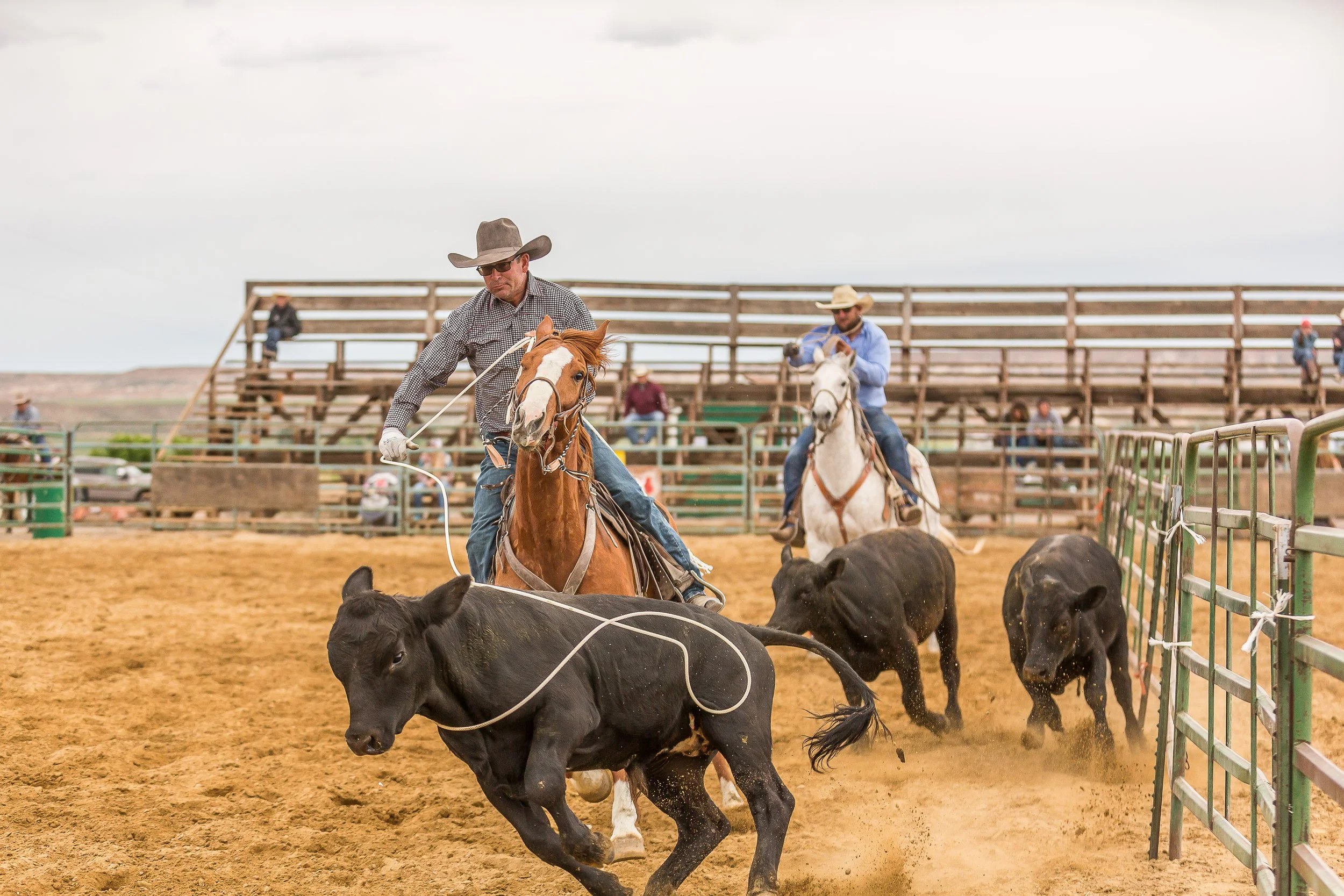 Bruneau Ranch Rodeo