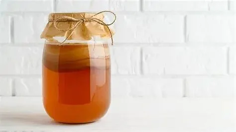 Introduction to Kombucha