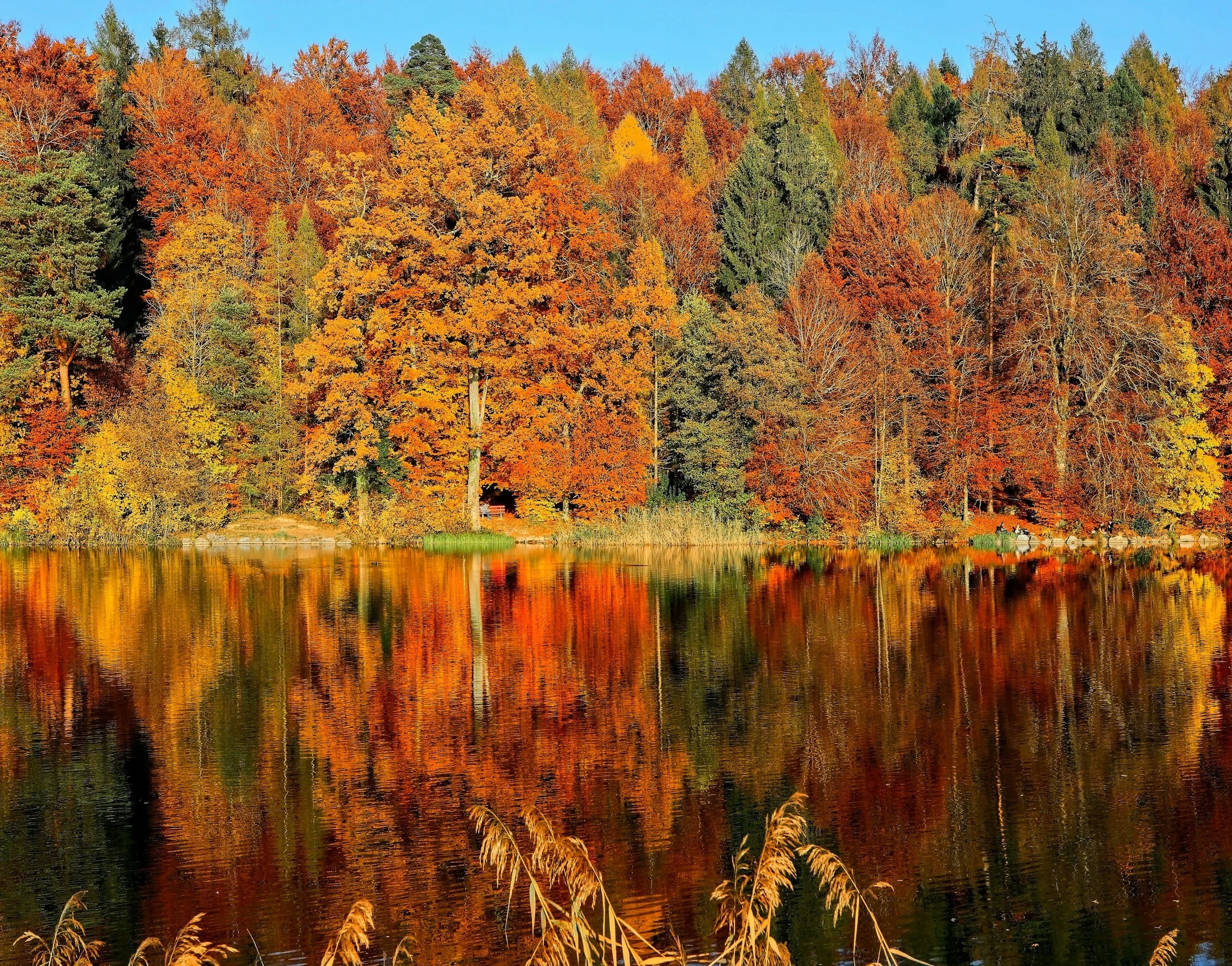 Fall Break
