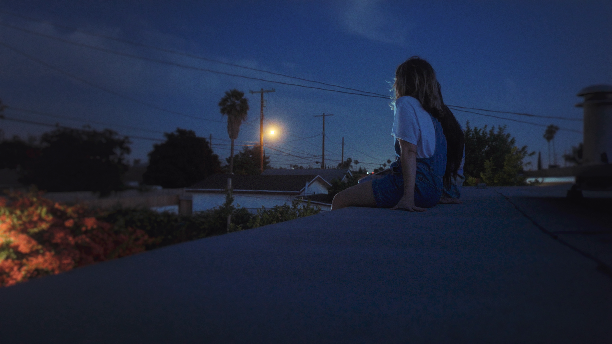 vlcsnap-2022-08-16-00h11m06s243.png