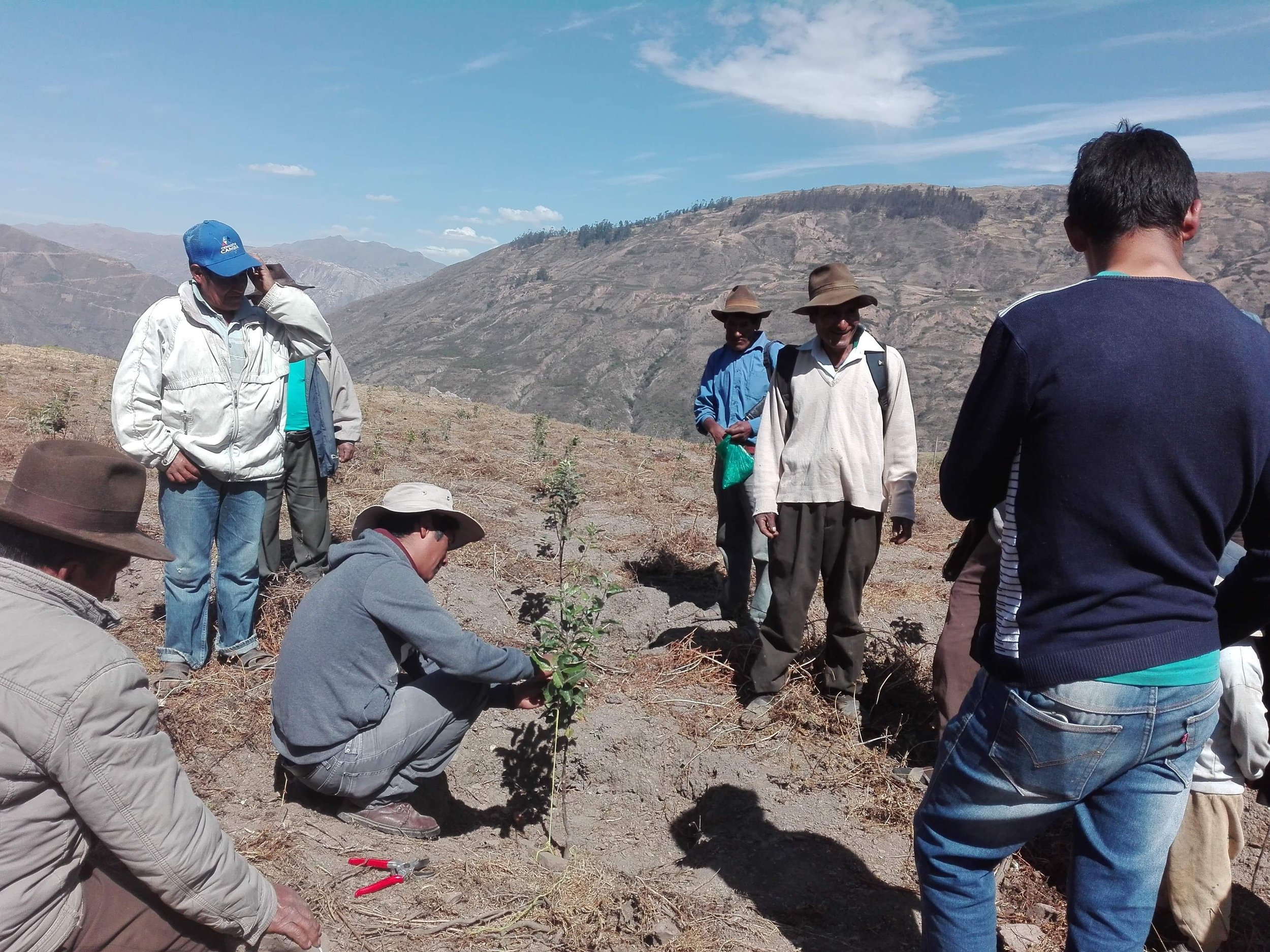 Fortsetzung von Obstbauprojekt // Steierisches Vulkanland