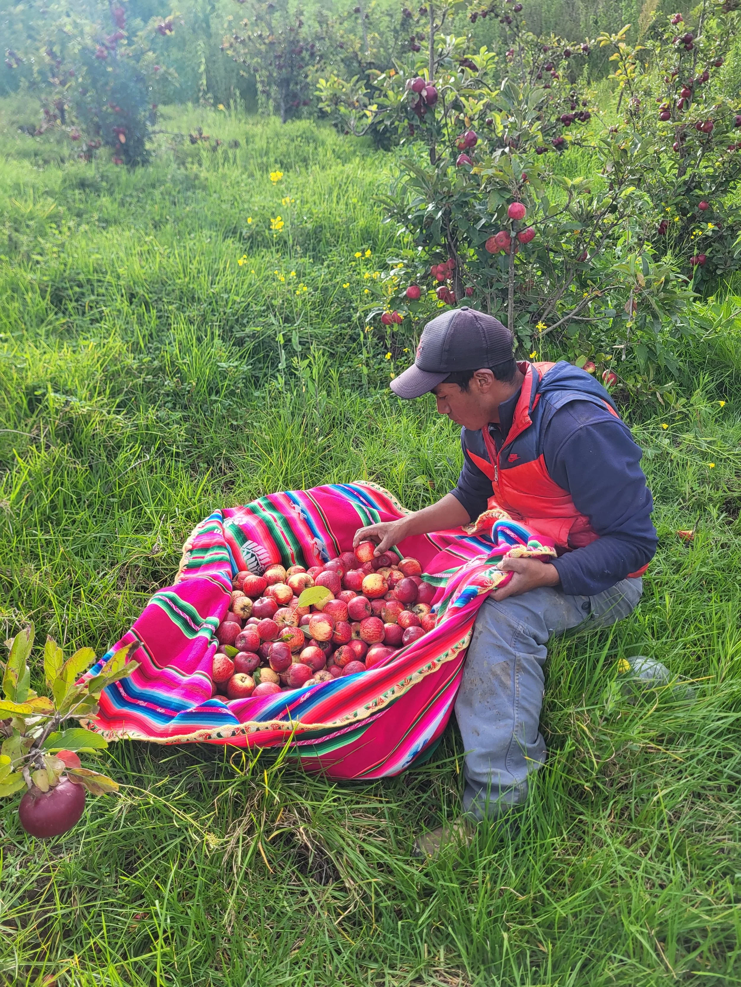 WhatsApp Image 2025-01-22 at 6.01.44 PM (1).jpeg