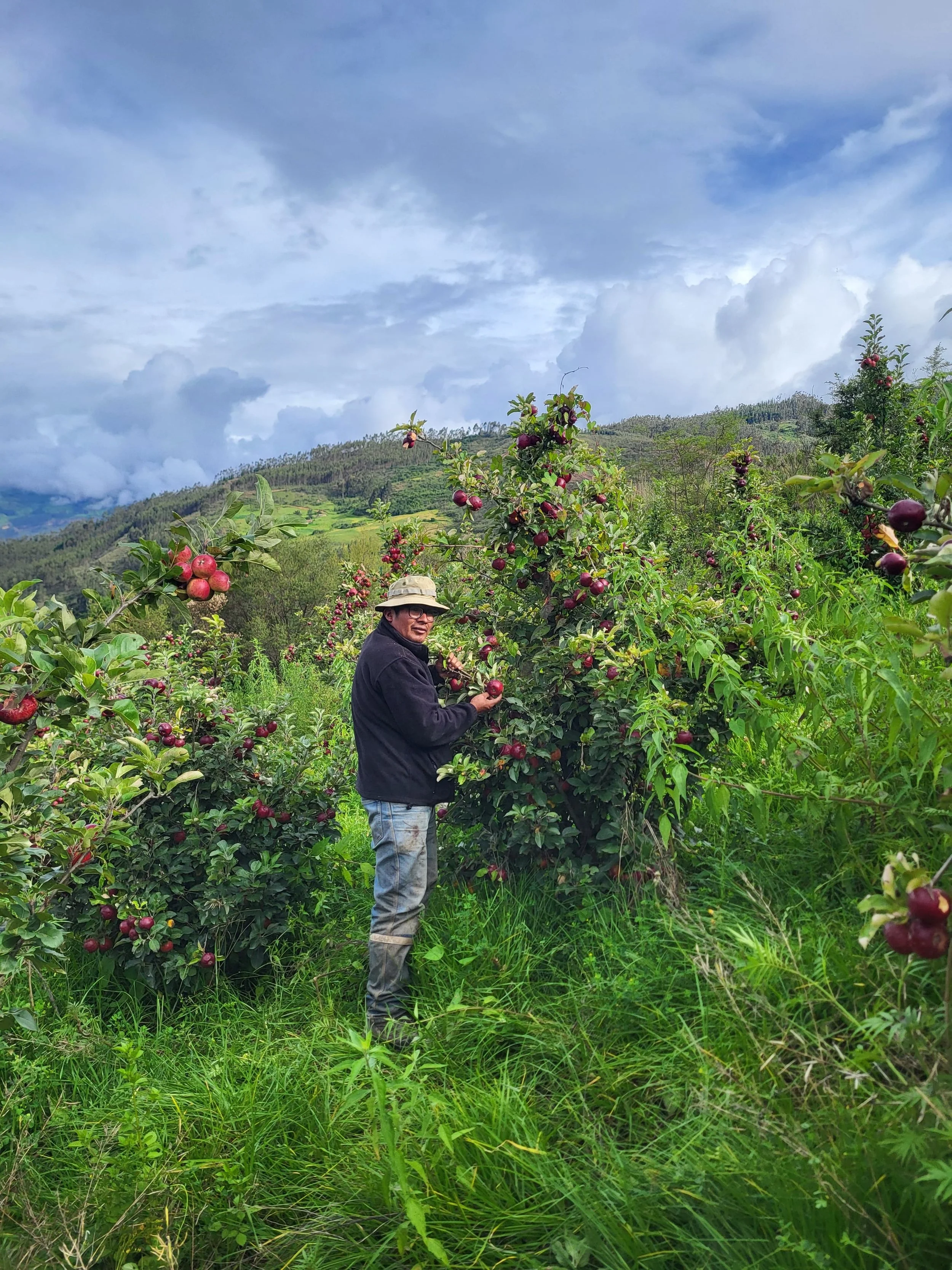 WhatsApp Image 2025-01-22 at 6.01.43 PM (1).jpeg