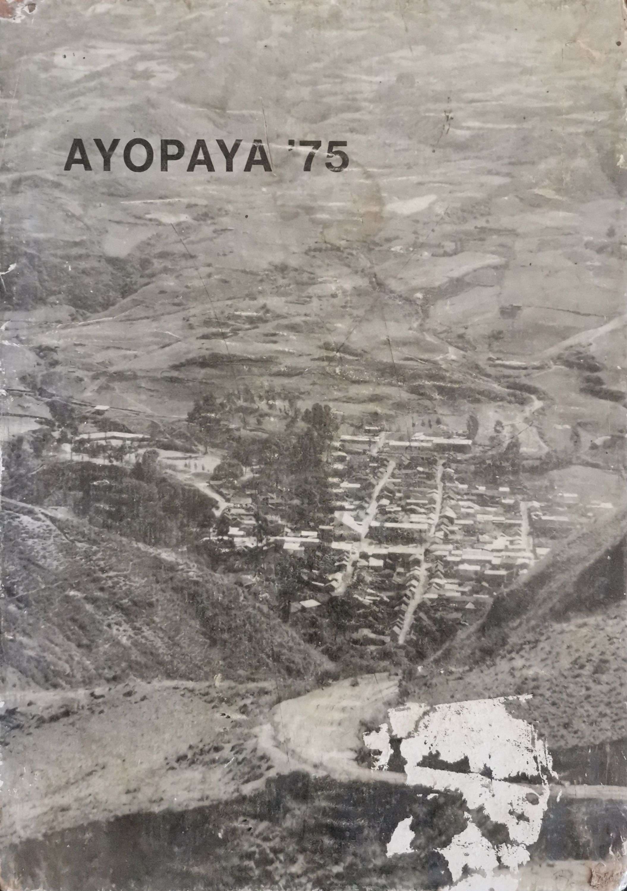 WhatsApp Bild 2025-06-23 um 16.22.10_0b059ce1.jpg