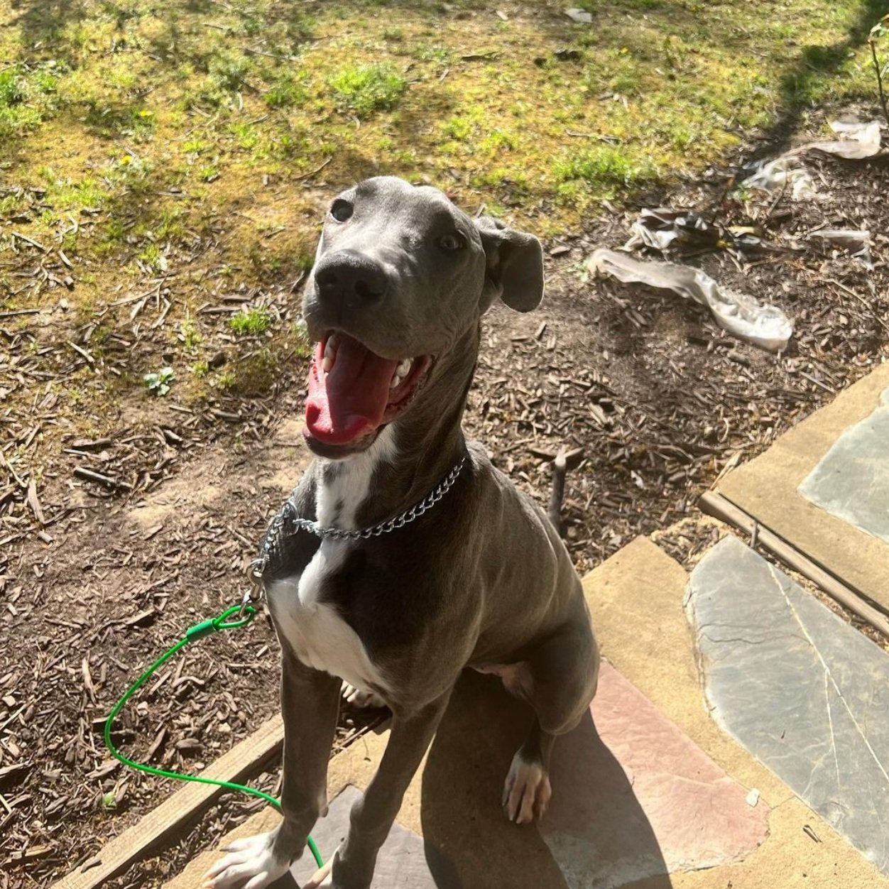 Screen Shot 2023-04-21 at 3.09.02 PM.jpg