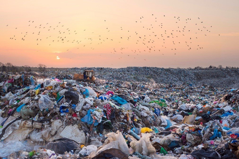 How Food Waste is Fueling the Climate Crisis: A Wake-Up Call