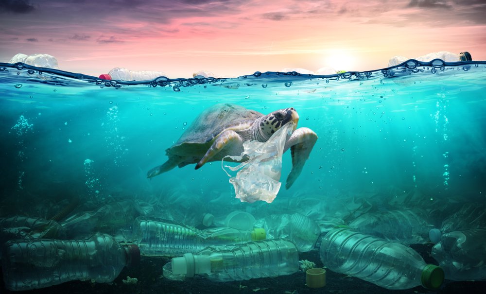 Agile Waste Solutions: Redefining Waste, Crafting a Sustainable Tomorrow