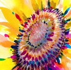 sunflower2.png