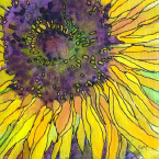 sunflower3.png