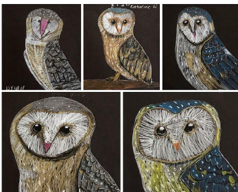 owls.png