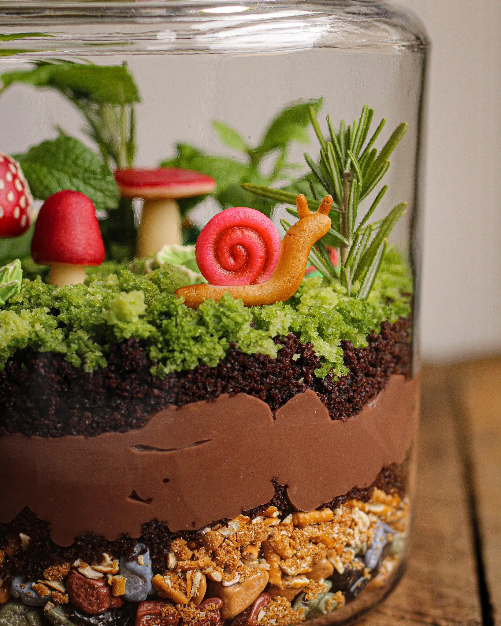 edible terrarium.webp