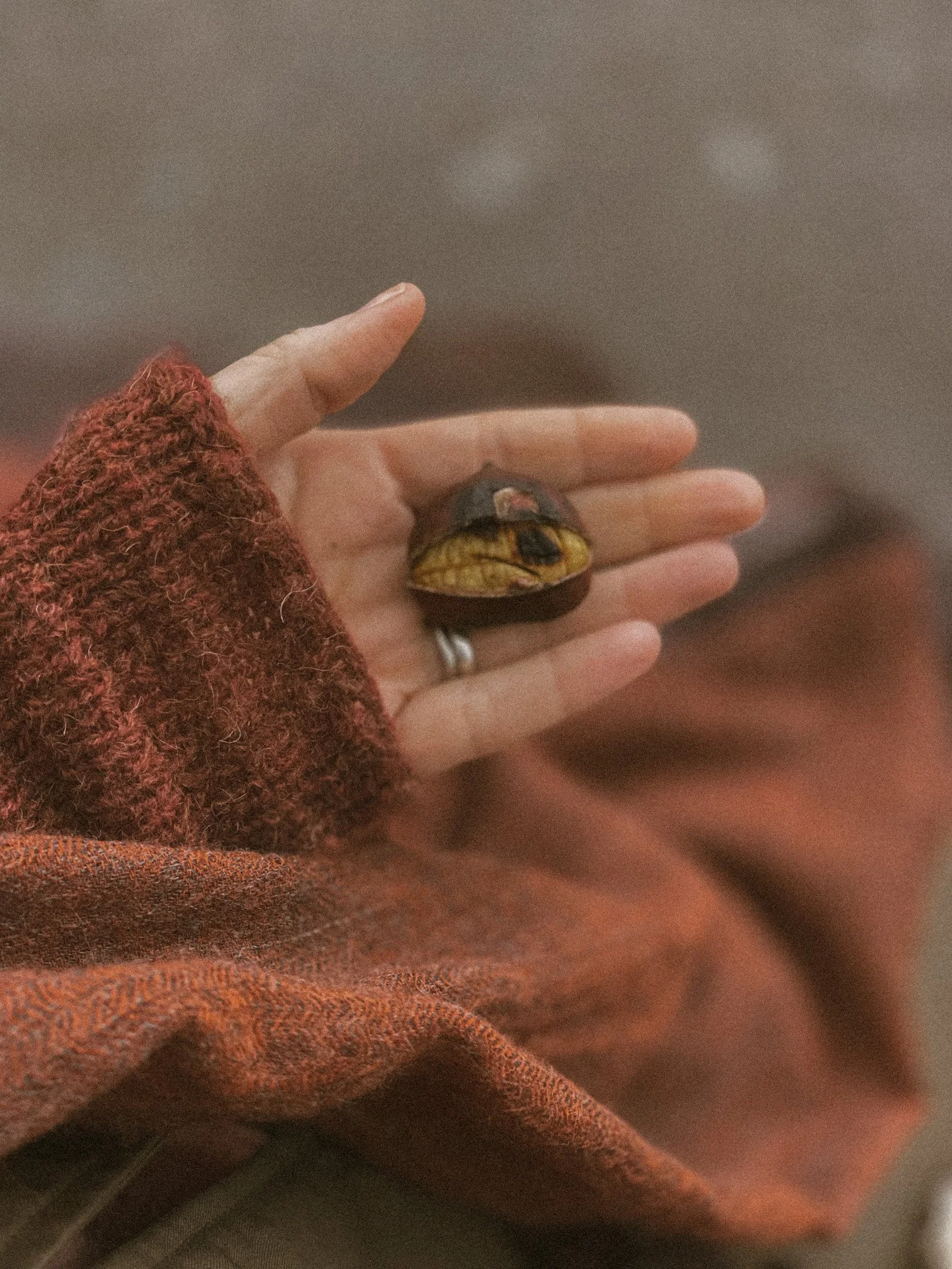 A person holding a small turtle with a yellowish shell on their hand, wearing a brownish-orange long sleeve shirt.