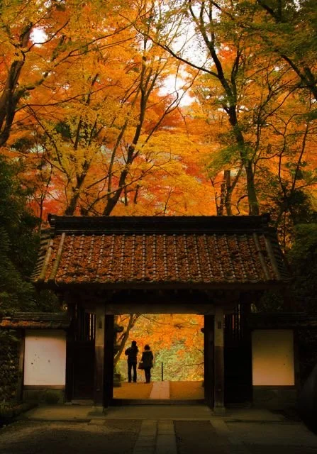 A traditional Japanese gate with a tiled roof, surrounded by colorful autumn trees with orange and yellow leaves, and two people standing beneath the gate.