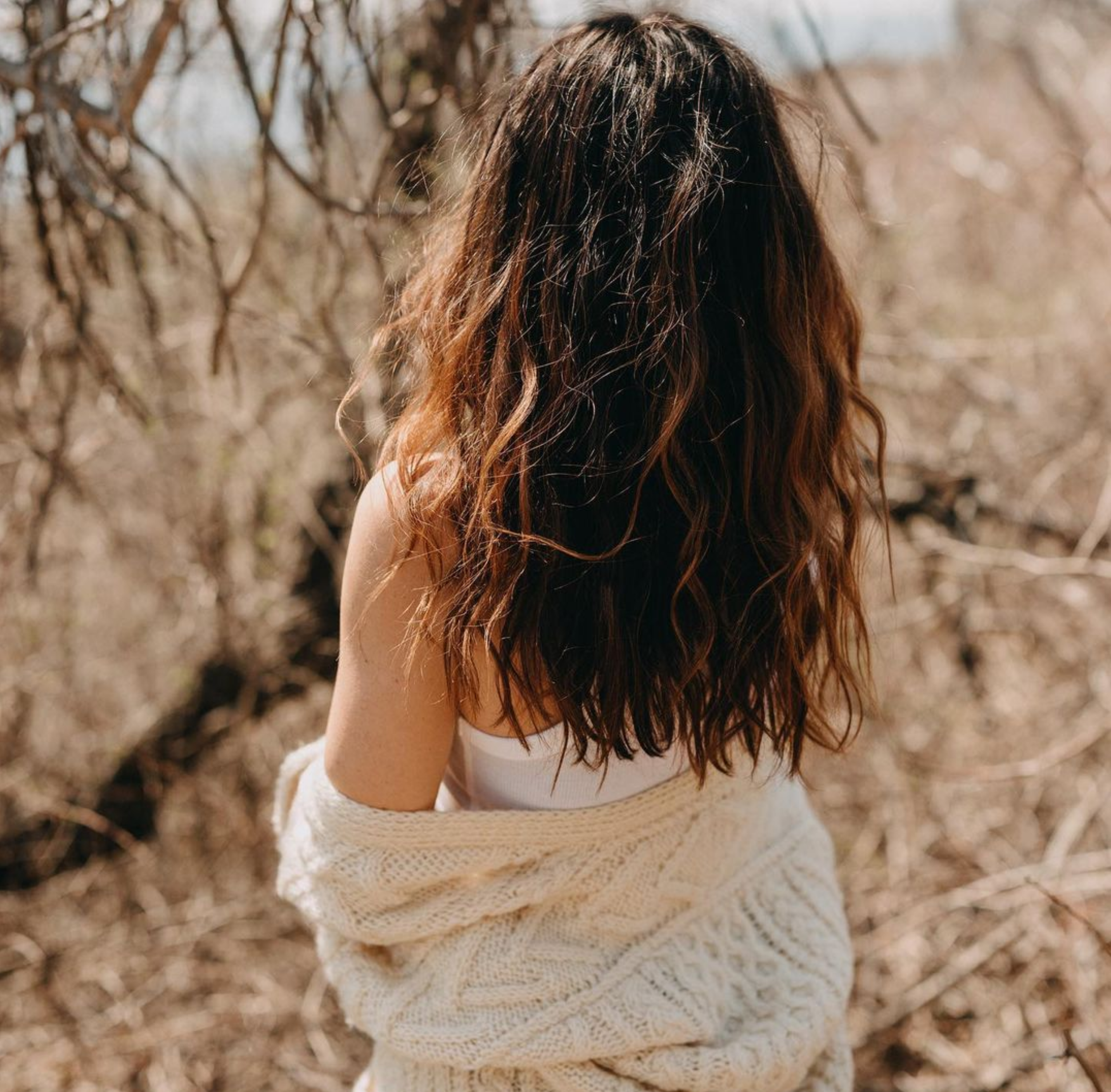 Screen Shot 2023-04-23 at 5.39.15 PM.png