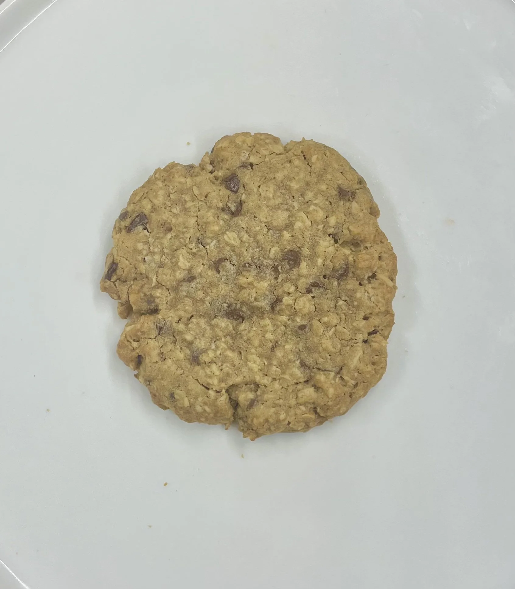 Oatmeal Chocolate Chip