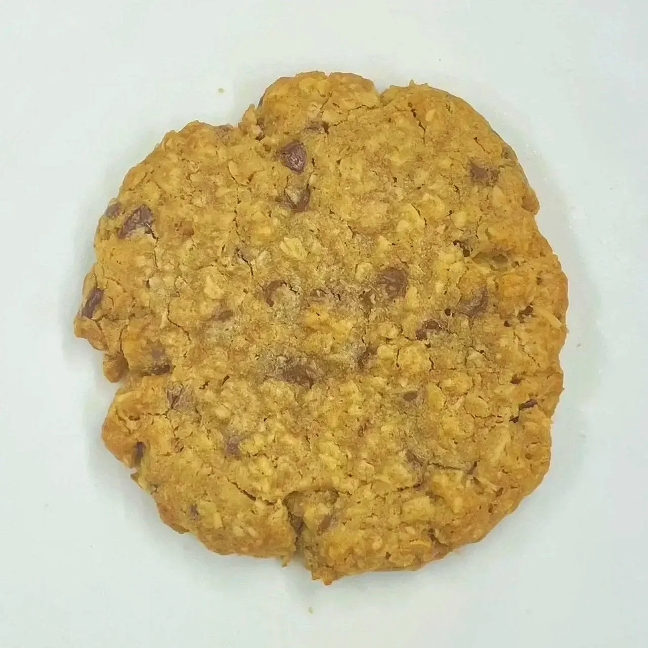 Oatmeal Chocolate Chip from the Gingerbread Factory