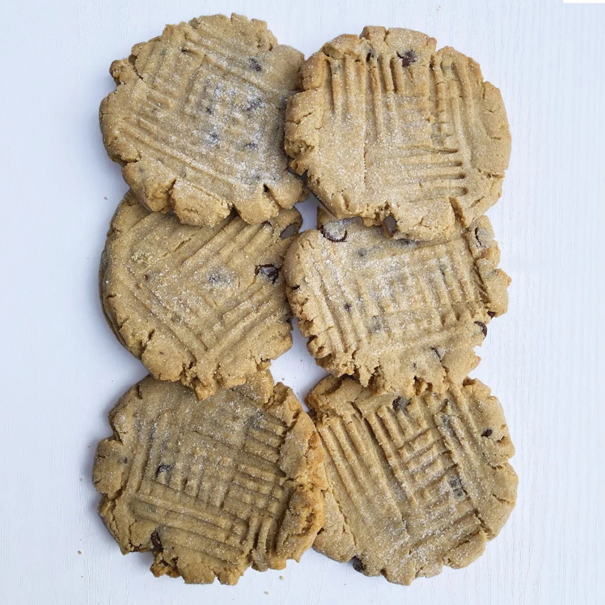 Peanut Butter Chocolate Chip