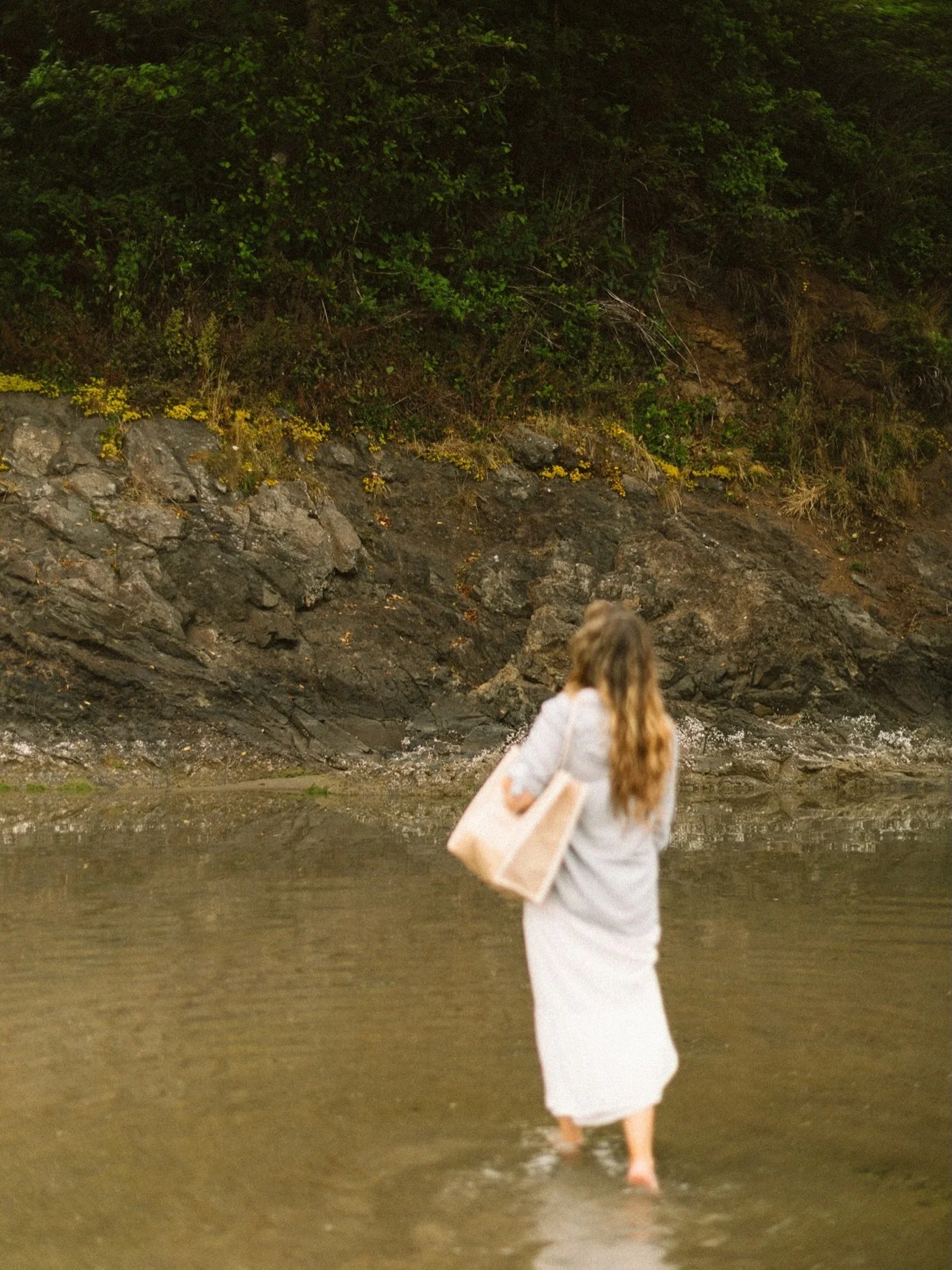 Found the cabin that makes you put your phone down. 

The Weekender in Neskowin, OR (thanks for having us, @marringtonvacationrentals) was exactly the kind of slow trip we needed. Board games, hiking, a beach walks, a sunset that stopped us mid-sente