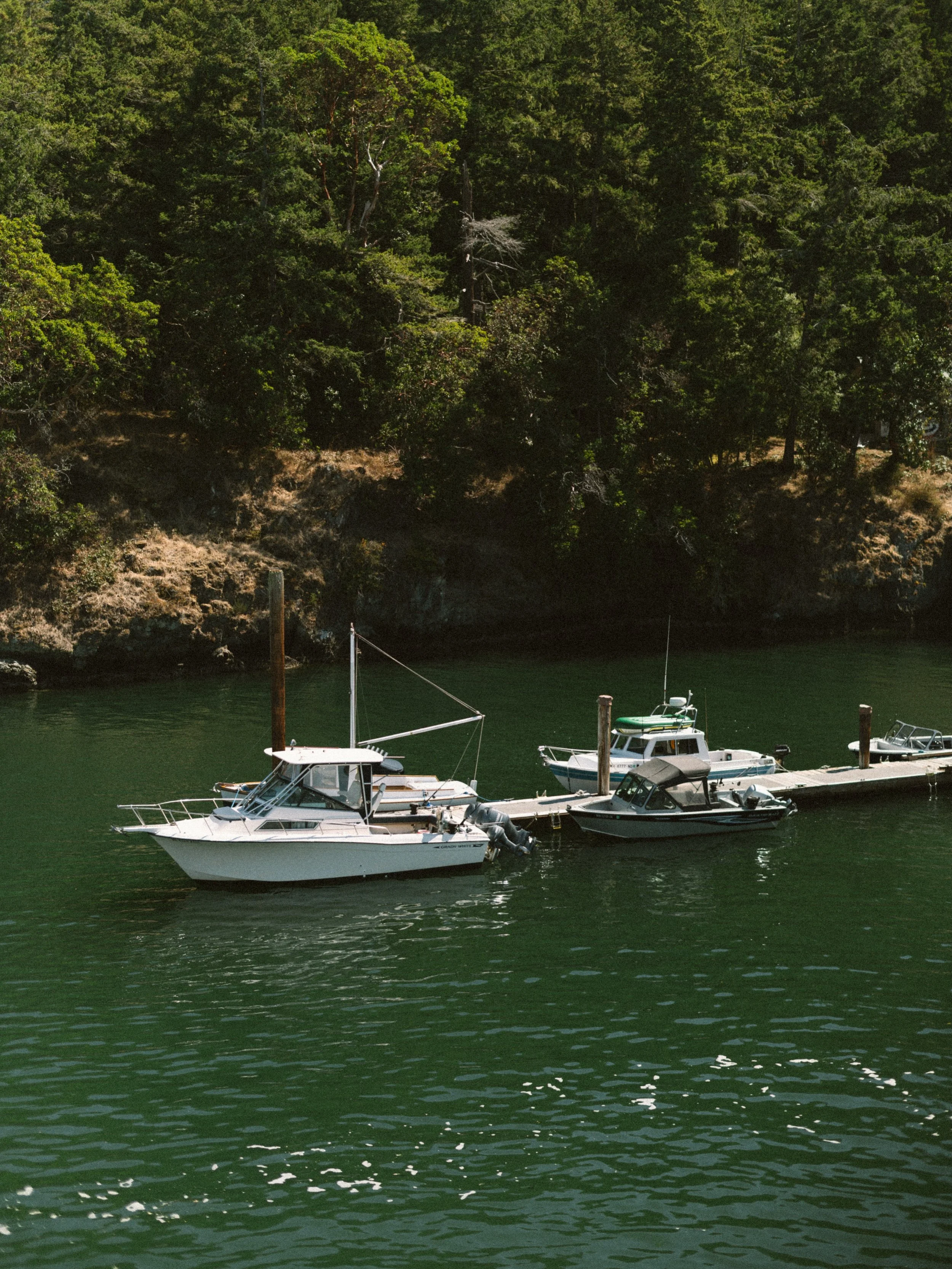 My perfect Orcas Island day.

morning ferry ride
breakfast cocktails @madronabarandgrill 
wandering around @orcasislandpottery 
pizza slice @ladybugpizza 
buy a loaf of bread from @orcasbakery 
shop the boutiques, always @material_wit 
pick up grocer