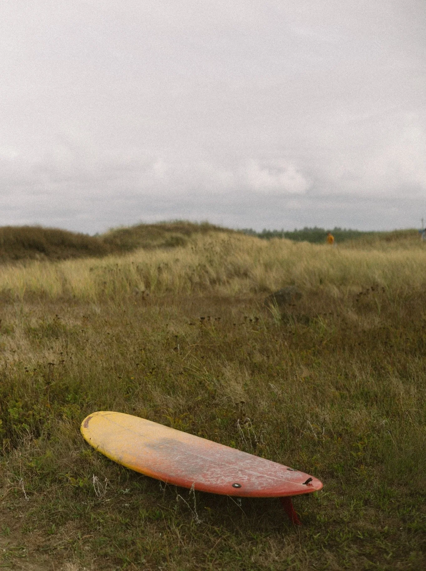September has good surf.